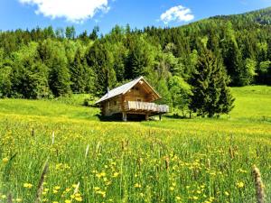 Br�ckl Stammbaumhaus Steiermark Das Br�ckl Stammbaumhaus im S�lktal